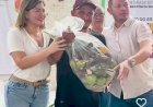 Com emendas de Aline Gurgel, ex-deputada federal e ex-secretária de Assistência Social e do senador Davi Alcolumbre, a segunda parte do Programa de Aquisição de Alimentos acaba de ser implementada em cumprimento ao Programa Amapá Sem Fome.