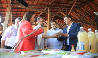 Senador Davi destina R$ 4,5 milhões para Programa de Modernização do Cultivo da Mandioca