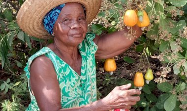 Quilombo do Rosa recebe a 1ª edição do Encontro dos Quilombos do Amapá.