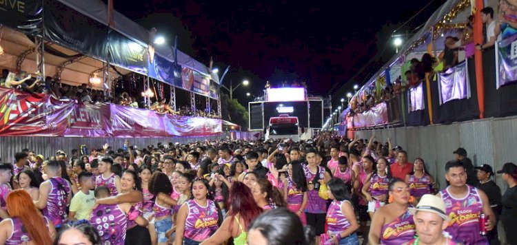 Primeiro dia de folia: blocos agitam foliões no circuito da Avenida Santana