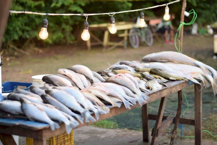 Prefeitura de Santana oferece peixes com preços reduzidos na Semana Santa