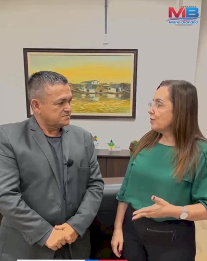 Obras no Hospital Estadual de Santana pautam reunião entre vereador Mário Brandão e secretária Silvana Vadovelli 